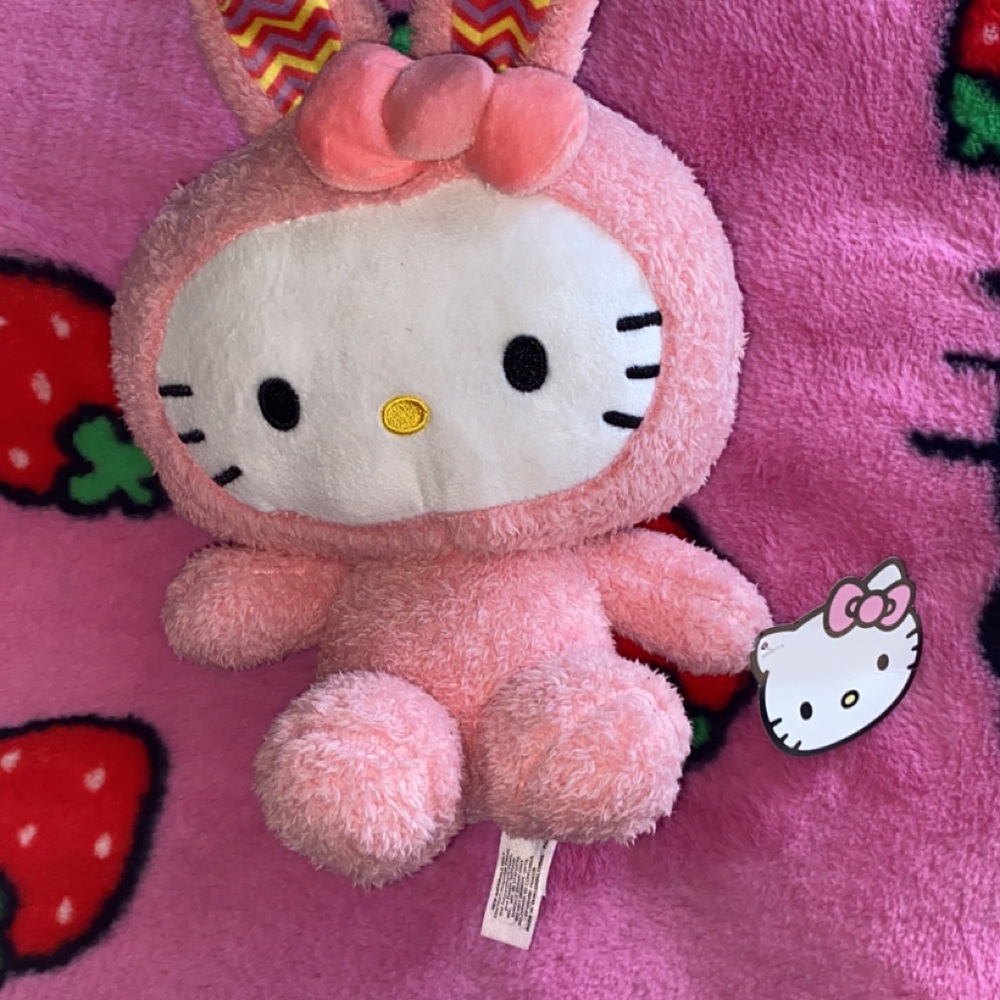 Hello Kitty Pink Plush Toy